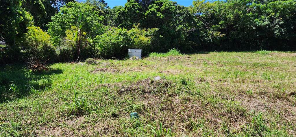 2409 m² Land available in Umtentweni photo number 3