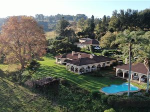 7.8 ha Farm in Greytown