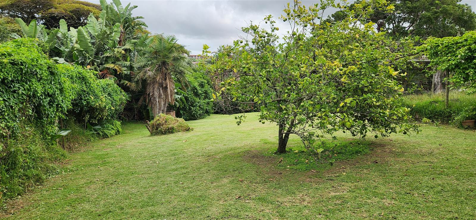1712 m² Land available in Port Edward photo number 10