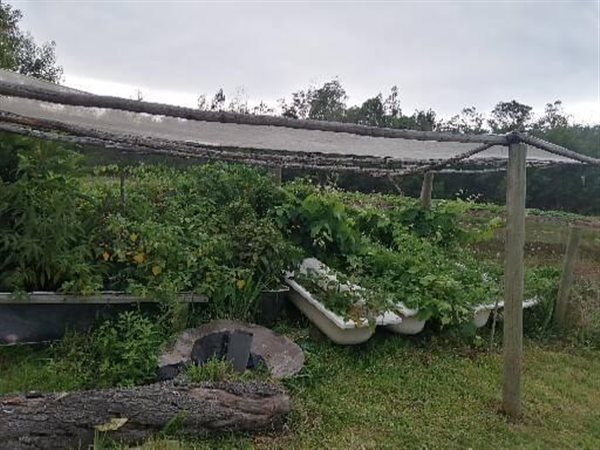 13 ha Farm 13 ha Farm