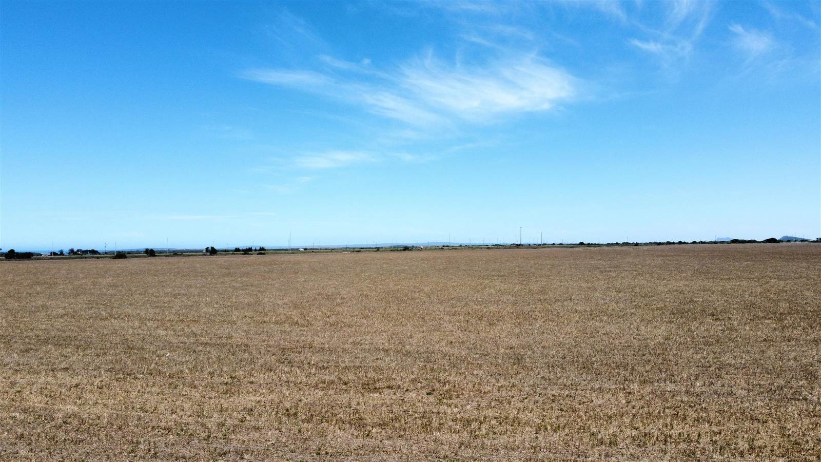 35 ha Land available in Mossdustria photo number 8
