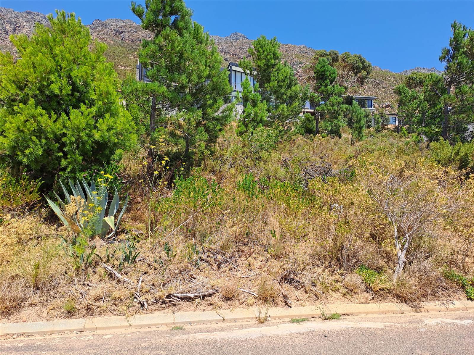 870 m² Land available in Gordons Bay Central photo number 2