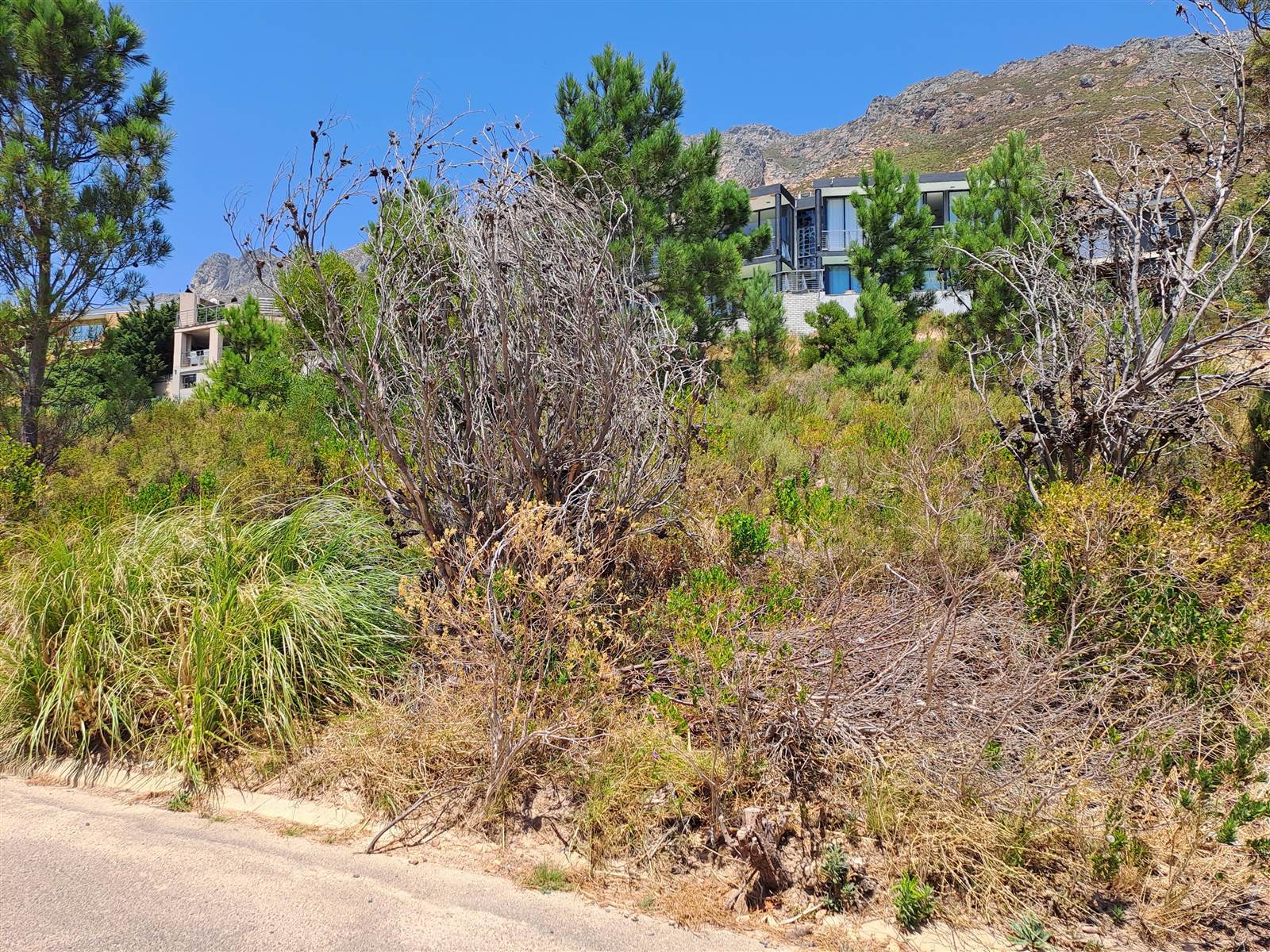 870 m² Land available in Gordons Bay Central photo number 5