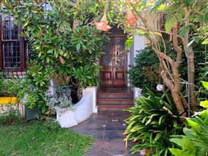 House in Green Point