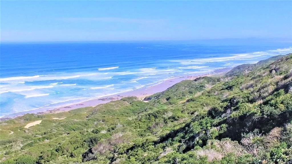 27.7 ha Land available in Beachview photo number 10