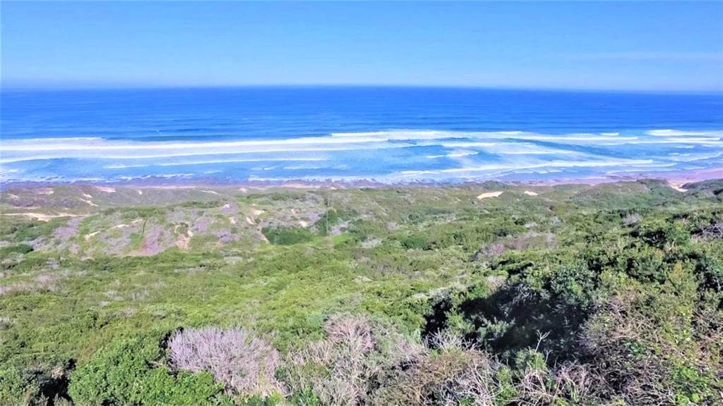 27.7 ha Land available in Beachview photo number 4