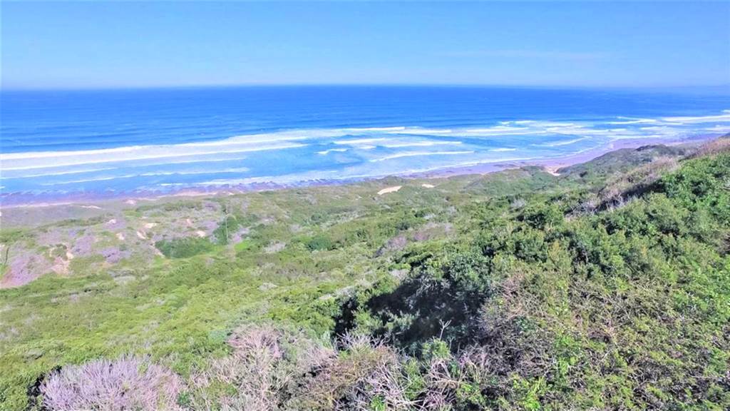 27.7 ha Land available in Beachview photo number 5