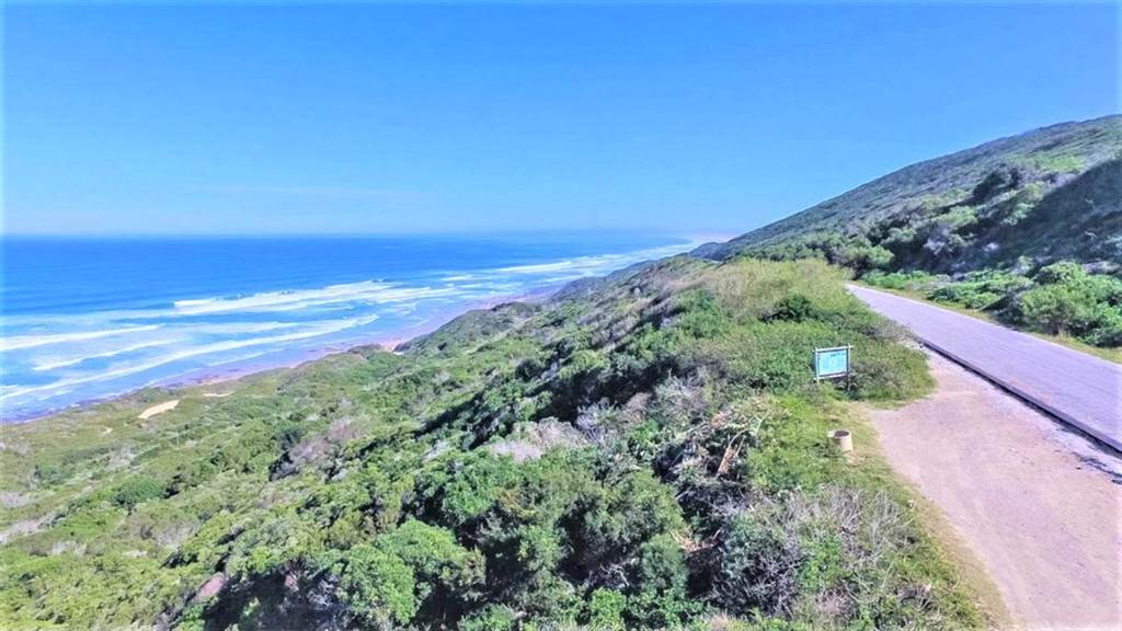 27.7 ha Land available in Beachview photo number 11
