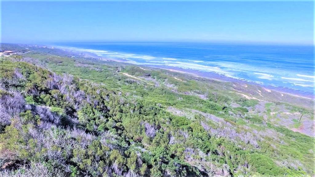 27.7 ha Land available in Beachview photo number 2