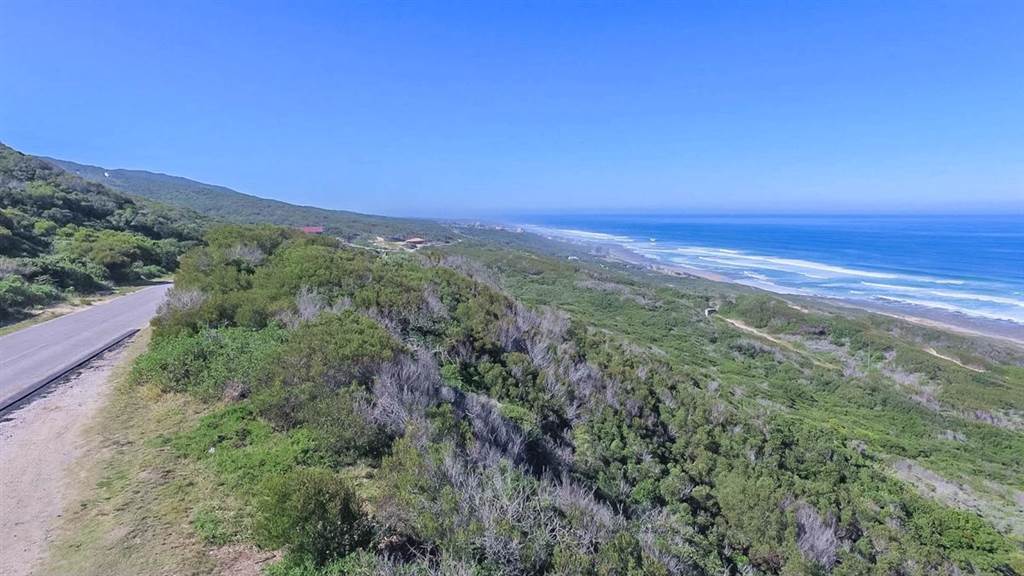 27.7 ha Land available in Beachview photo number 12