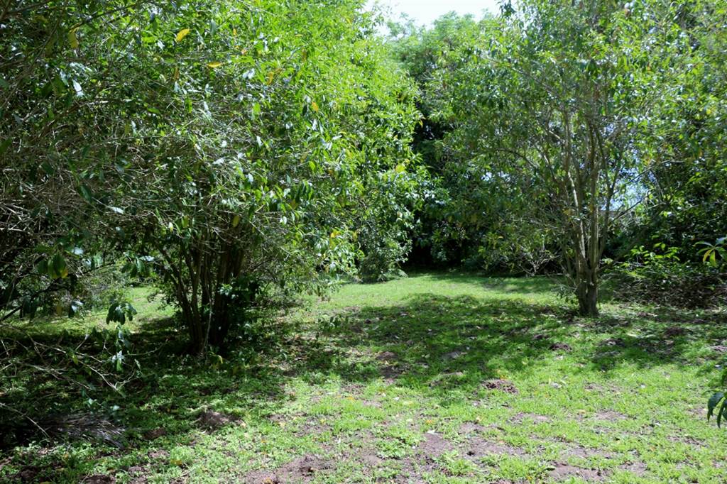 670 m² Land available in Bathurst and Surrounds photo number 7
