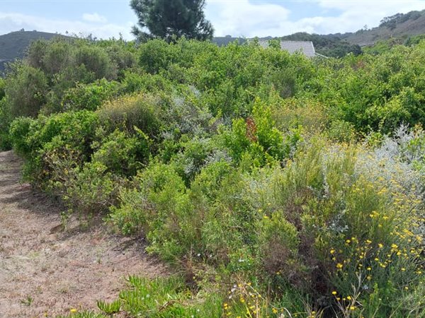 783 m² Land available in Dolphin Creek Golf Estate
