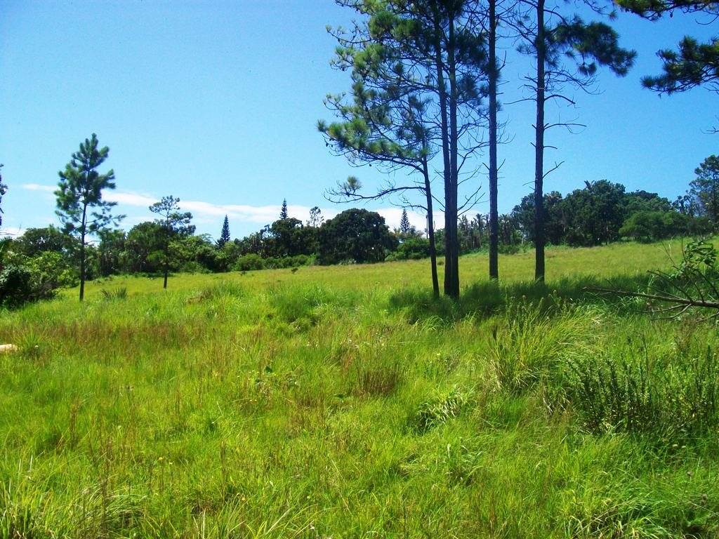 3735 m² Land available in Palm Beach photo number 2