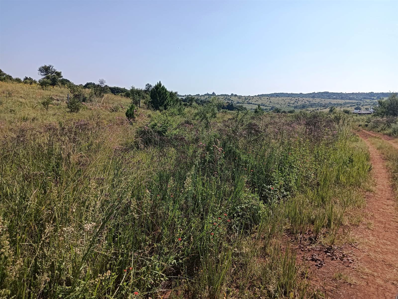 8.6 ha Land available in Tierpoort photo number 24