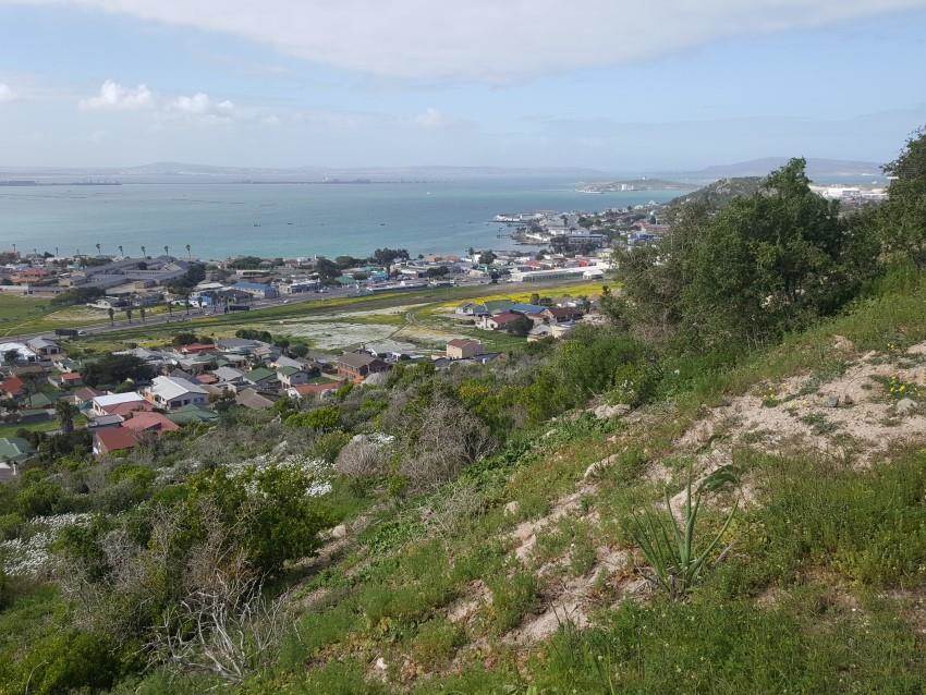 801 m² Land available in Saldanha photo number 3