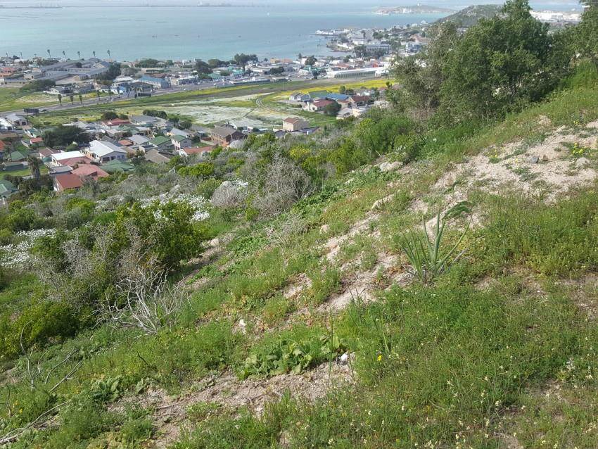 801 m² Land available in Saldanha photo number 2
