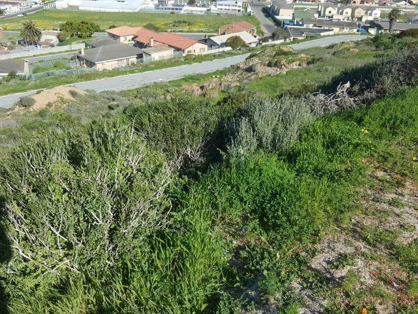 801 m² Land available in Saldanha photo number 4