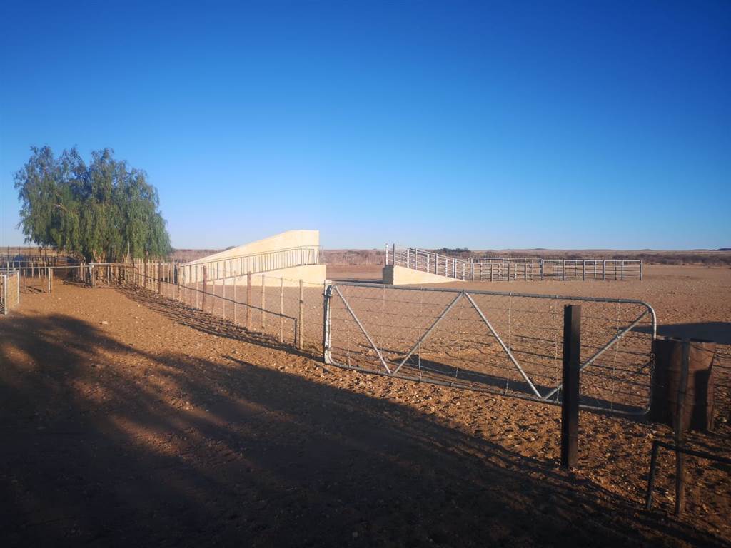 4630 m² Farm in Upington photo number 16