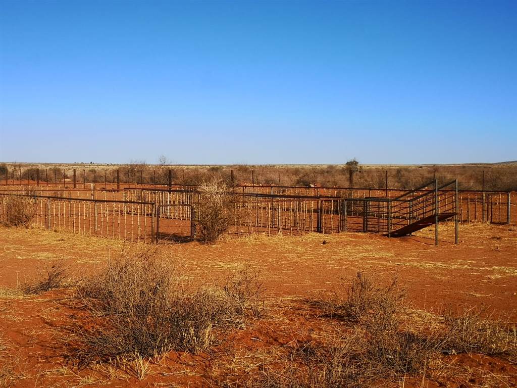 4630 m² Farm in Upington photo number 17