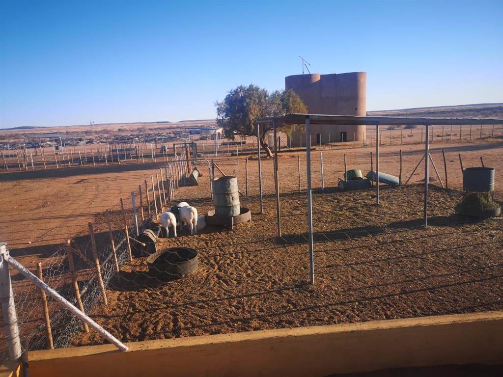 4630 m² Farm in Upington photo number 21