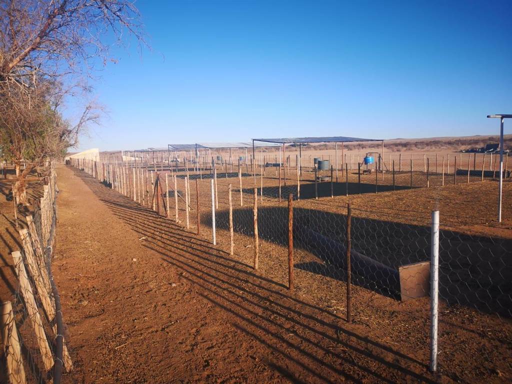 4630 m² Farm in Upington photo number 13