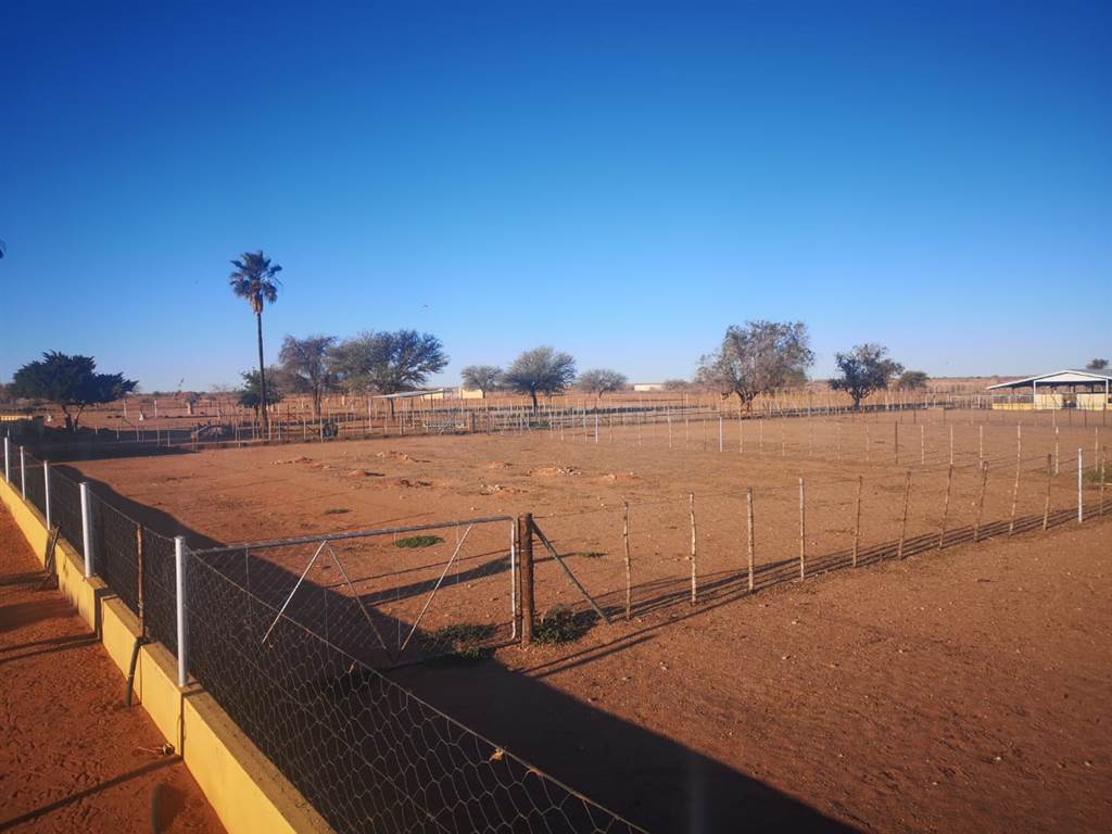 4630 m² Farm in Upington photo number 18