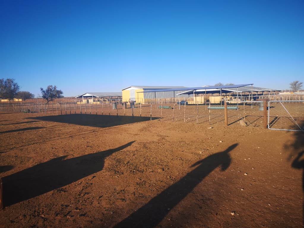 4630 m² Farm in Upington photo number 11