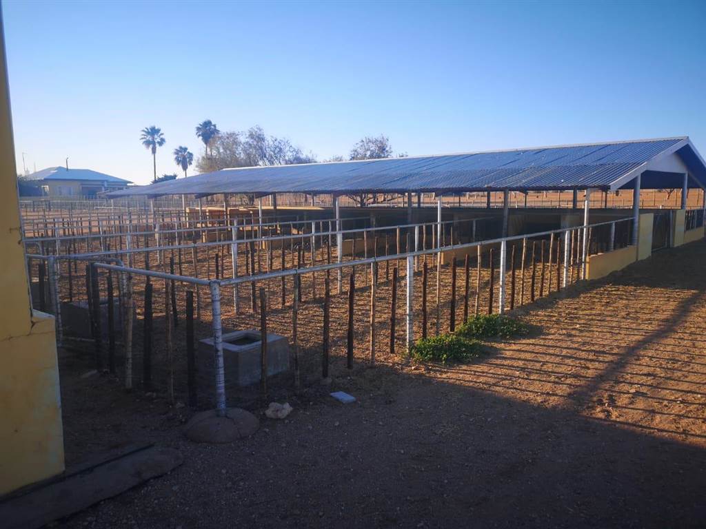 4630 m² Farm in Upington photo number 15