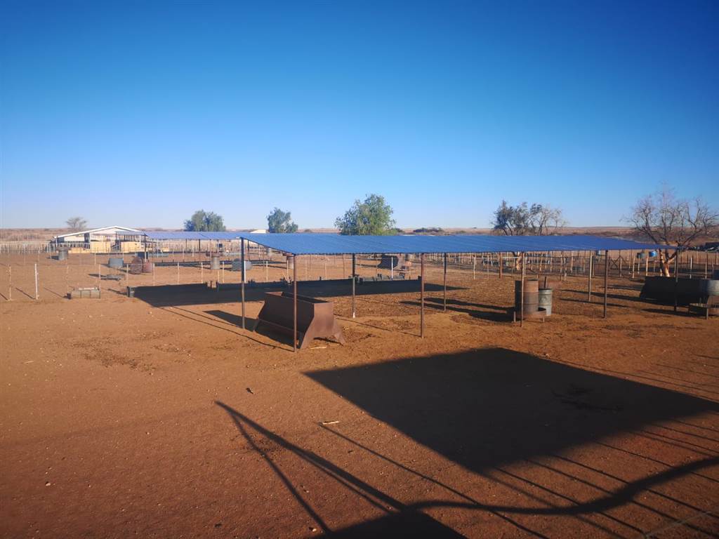 4630 m² Farm in Upington photo number 20