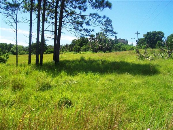 3656 m² Land available in Palm Beach