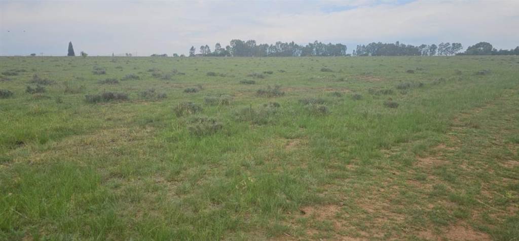 3.1 ha Land available in Nelsonia photo number 5