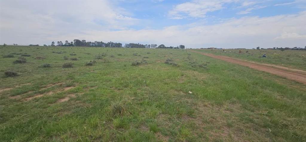 3.1 ha Land available in Nelsonia photo number 6