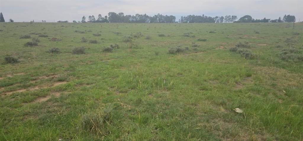 3.1 ha Land available in Nelsonia photo number 3