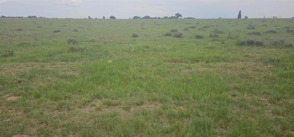 3.1 ha Land available in Nelsonia photo number 4