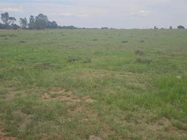 3.1 ha Land available in Nelsonia