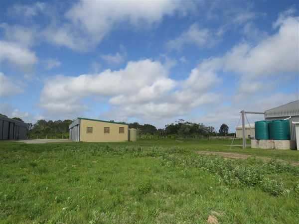 1884 m² Land available in Bathurst and Surrounds