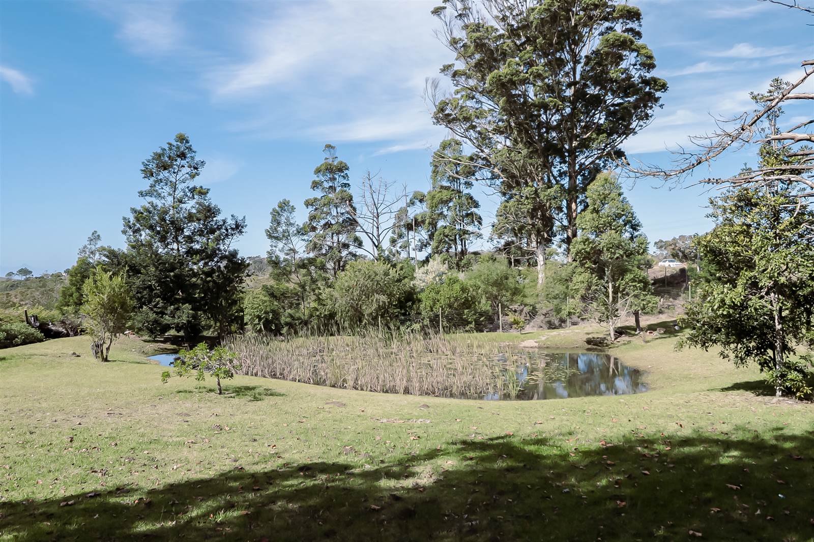 8.8 ha Smallholding in Robberg photo number 11