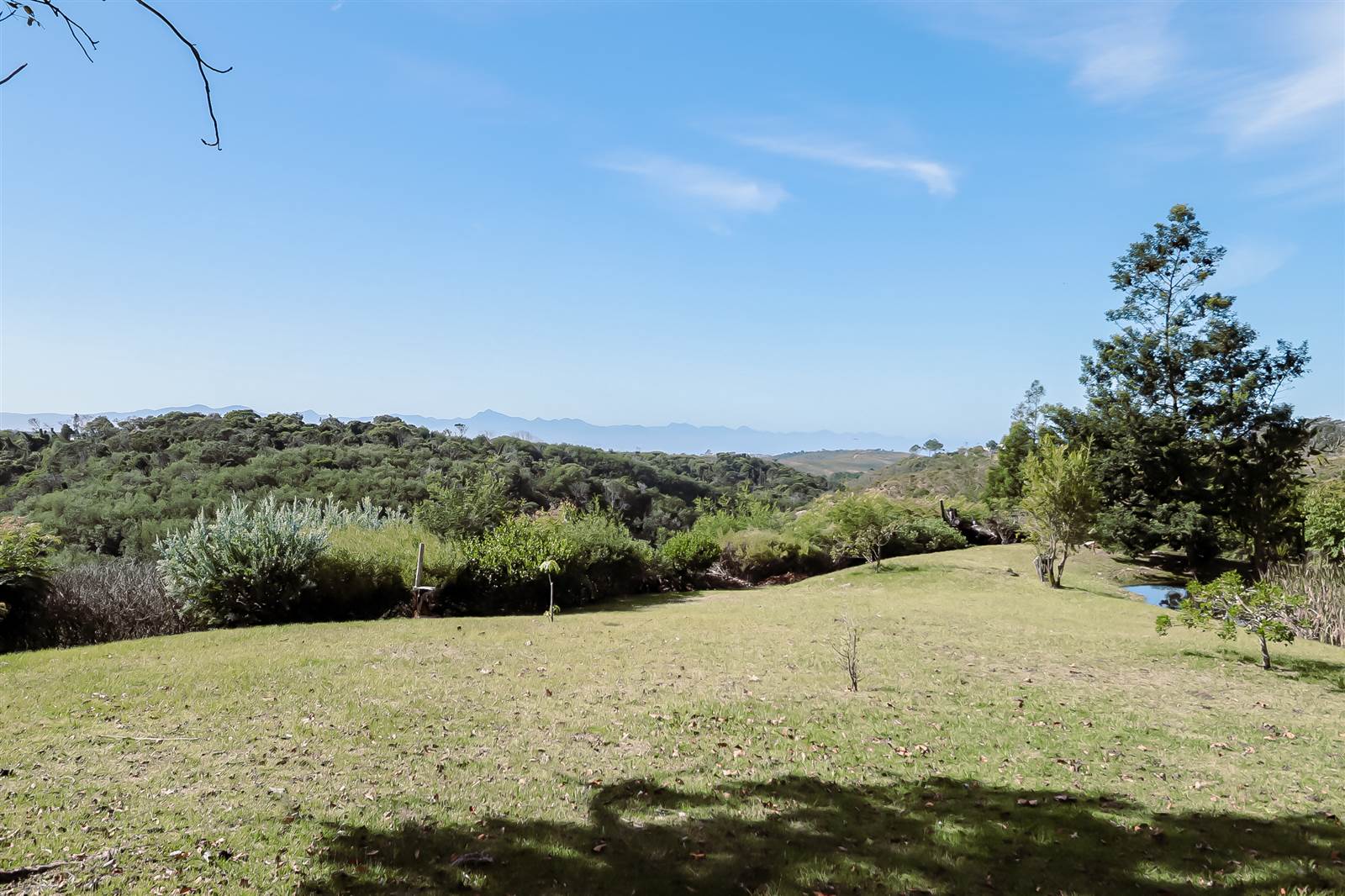 8.8 ha Smallholding in Robberg photo number 12