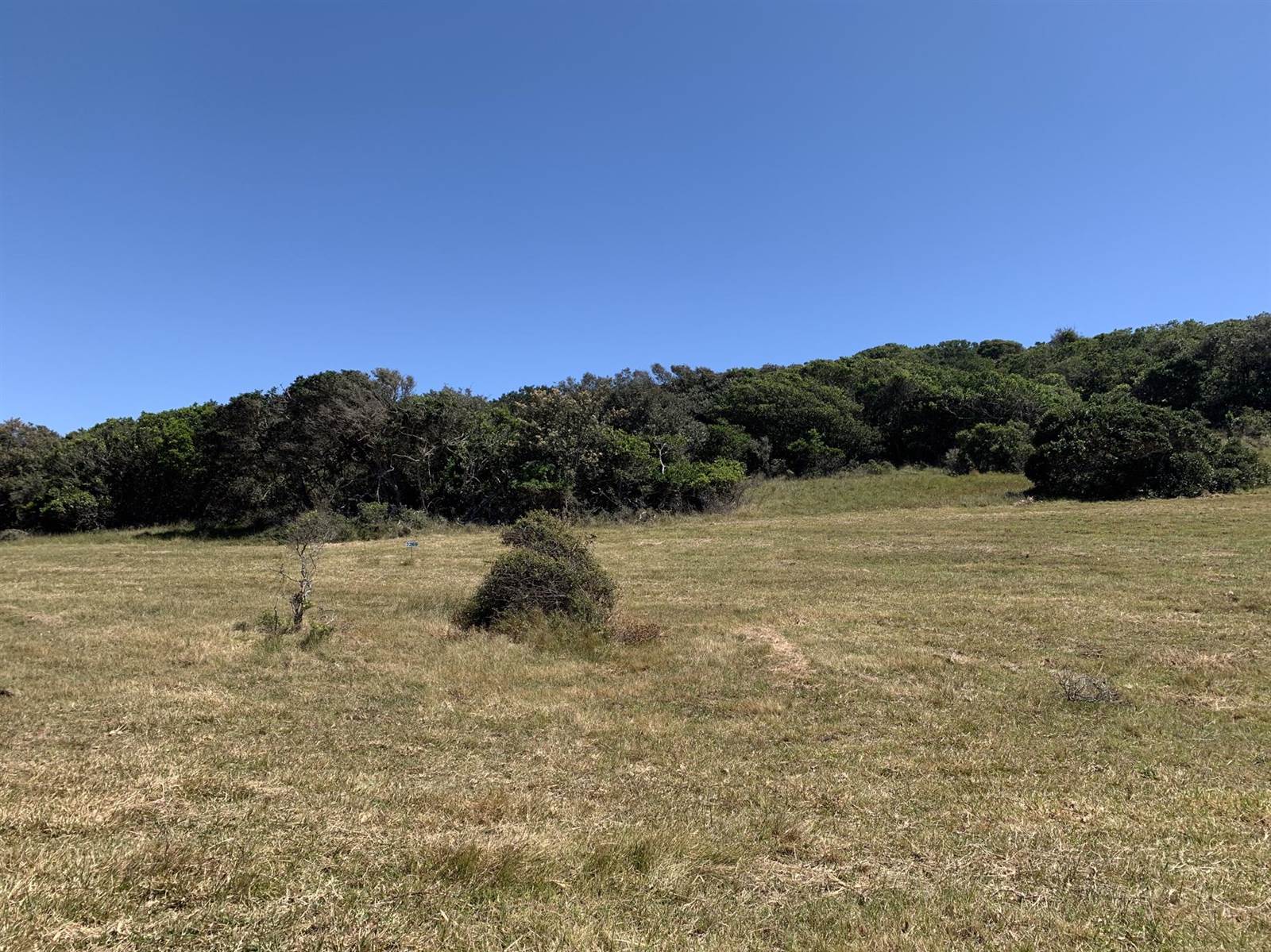 840 m² Land available in Kenton-on-Sea photo number 7