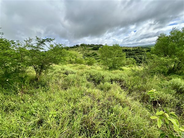 1 574 m² Land 1 574 m² Land