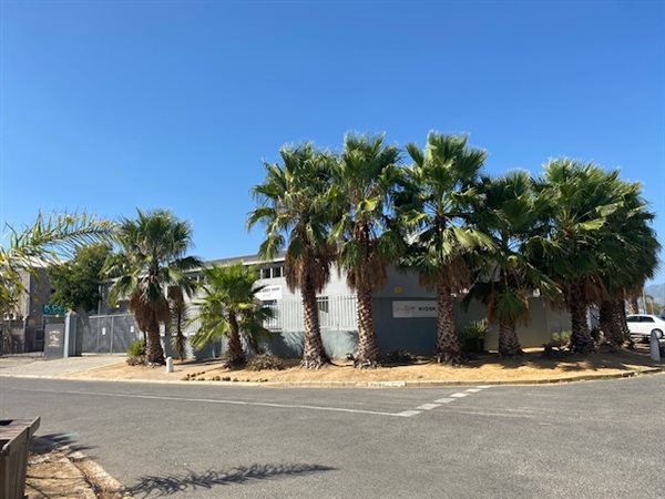 700  m² Industrial space in Wellington Central