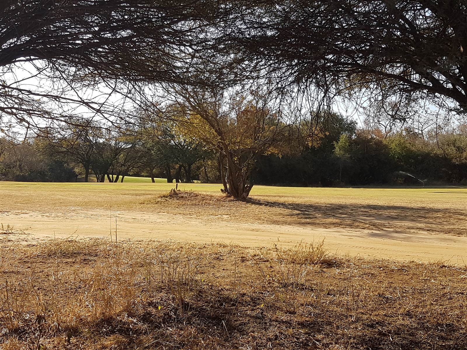 697 m² Land available in Chroom Park photo number 7