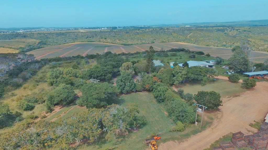 336 ha Farm in Port Alfred photo number 26