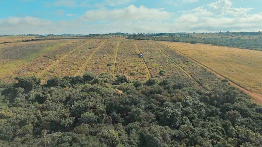 336 ha Farm in Port Alfred photo number 24