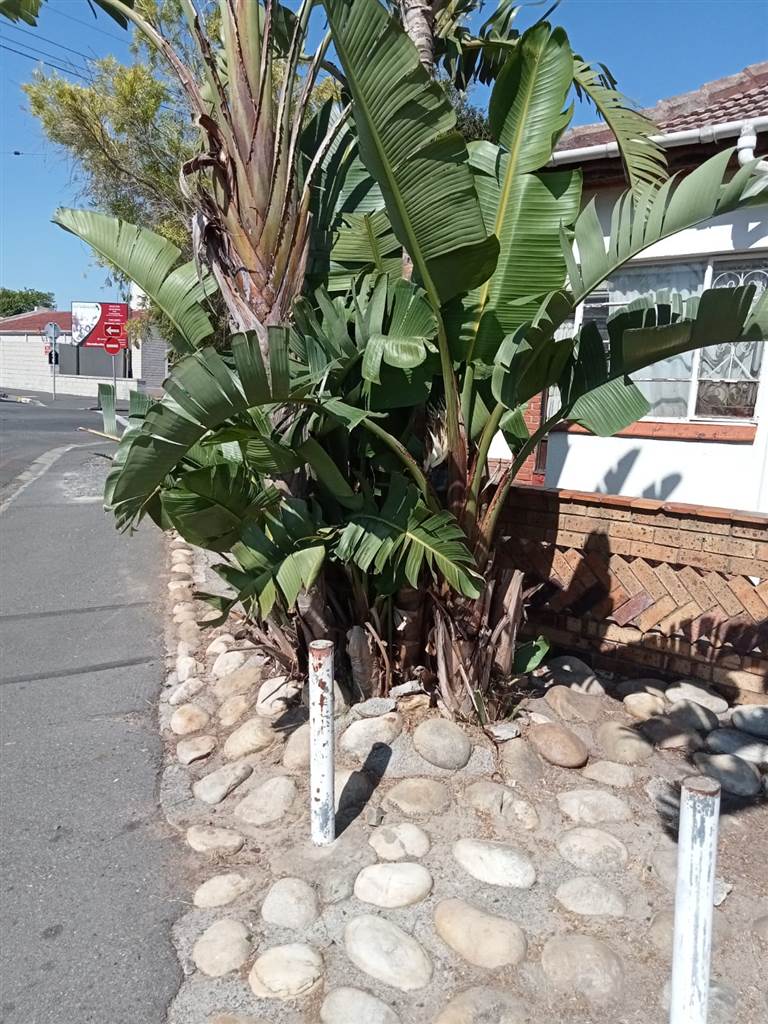 3 Bed House to rent in Oakdale RR4010834 Private Property