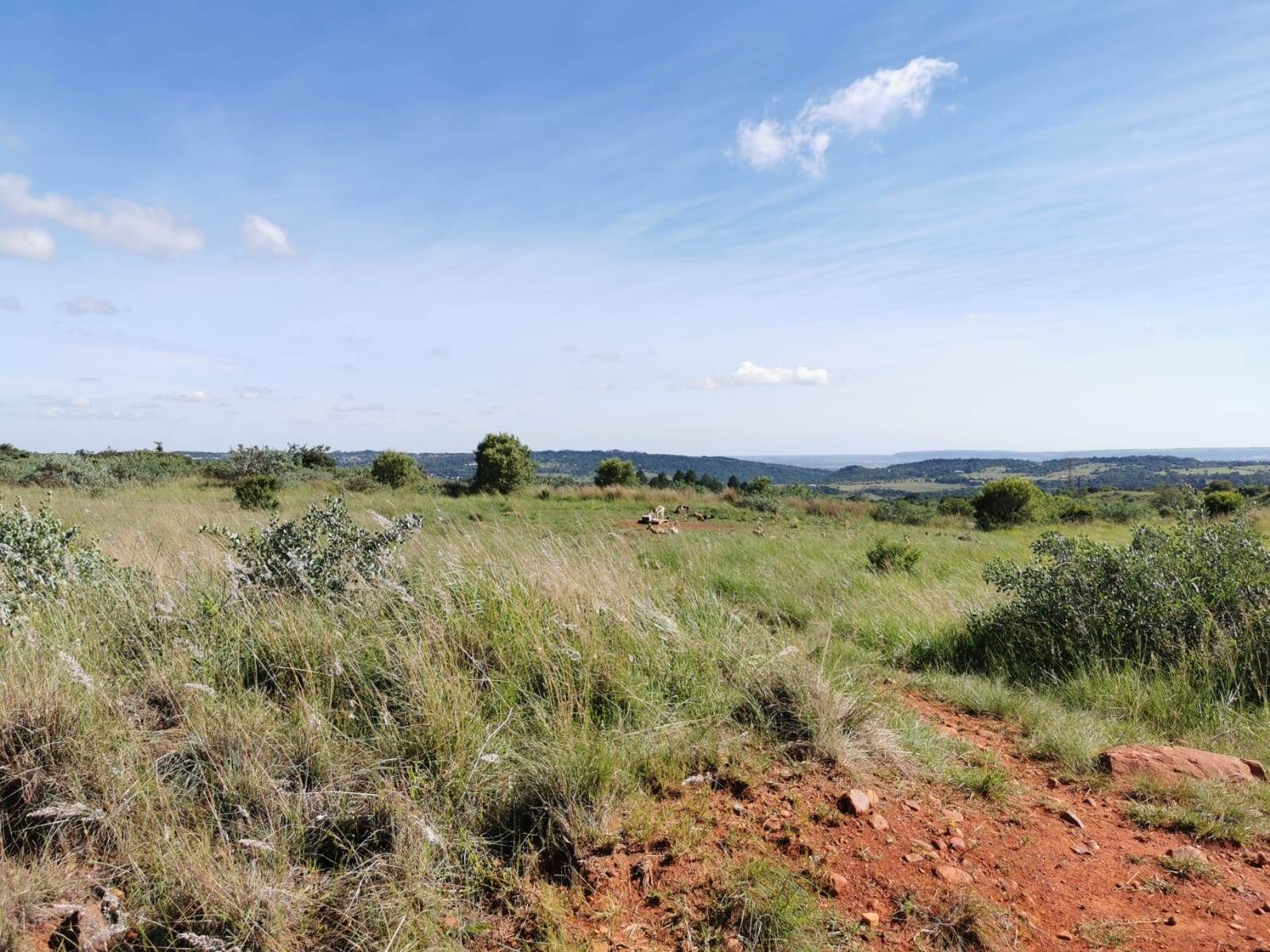 1041 m² Land available in The Hills photo number 14