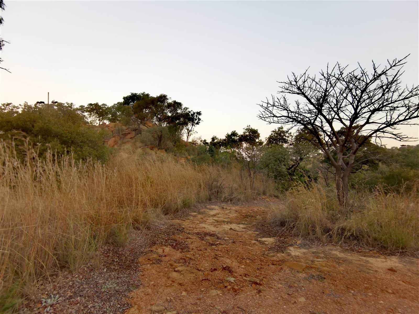 2.2 ha Land available in Waterkloof East photo number 15