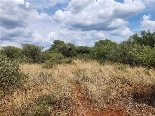 1.1 ha Land available in Thabazimbi