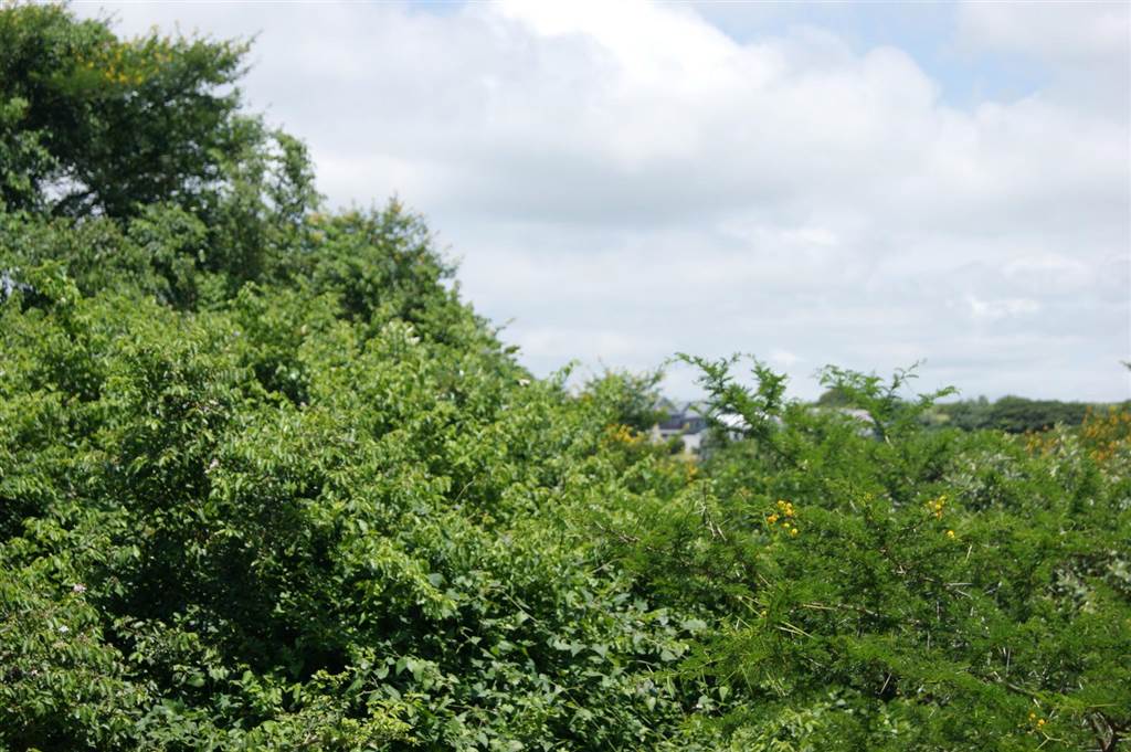 1023 m² Land available in Princes Grant Golf Estate photo number 8