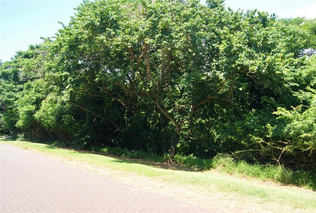 1023 m² Land available in Princes Grant Golf Estate photo number 12